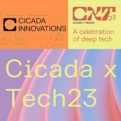 Copy of Cicada