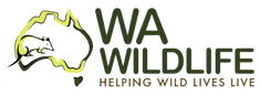 Wildlife