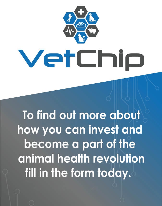 Investor Interest